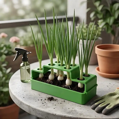 Hydroponic Scallion Growing Device EnergySaving Indoor Green Onion Growing Kit for Home and Office Decor