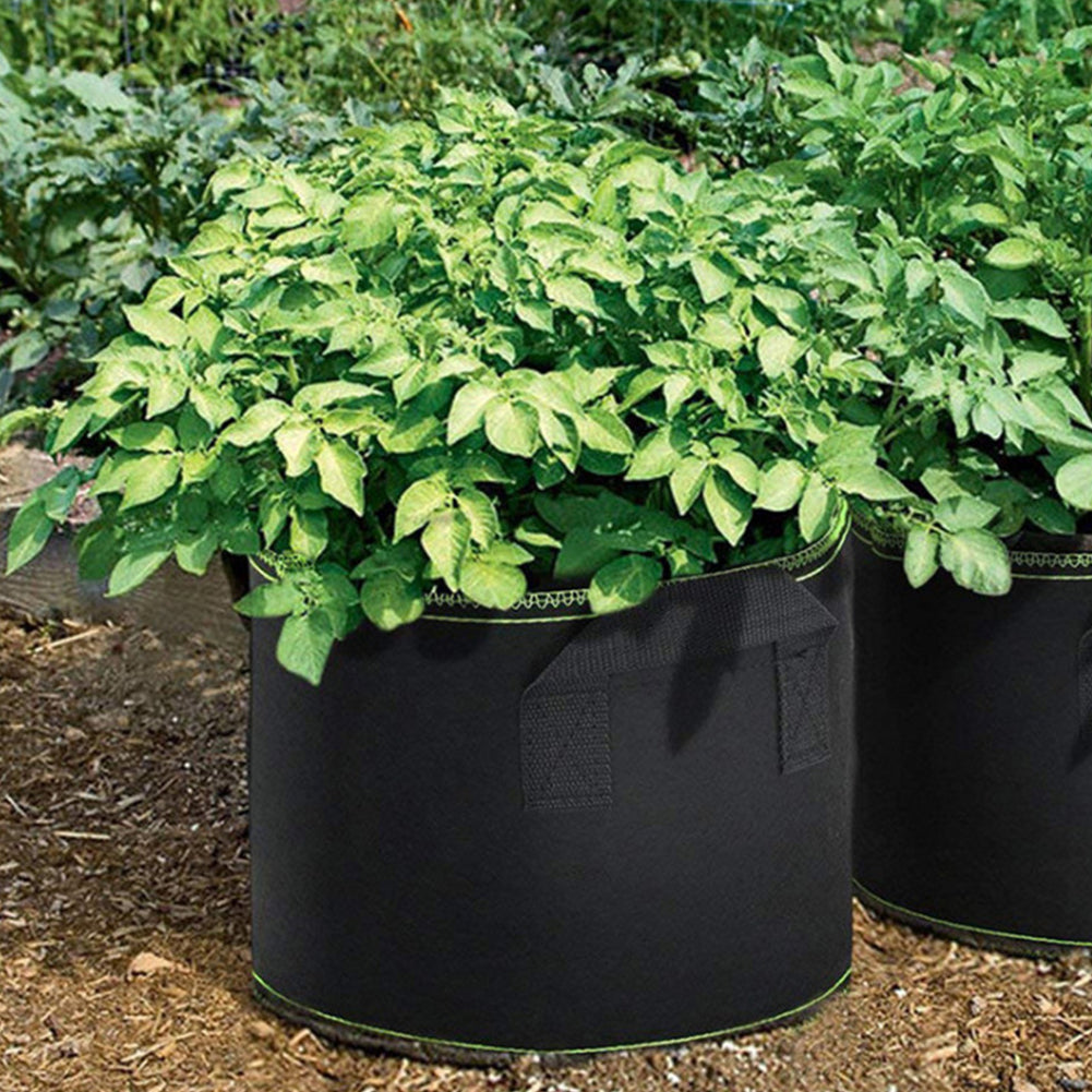 Felt Grow Bags 1-10 Gallon: Reusable Plant Pots with Handles