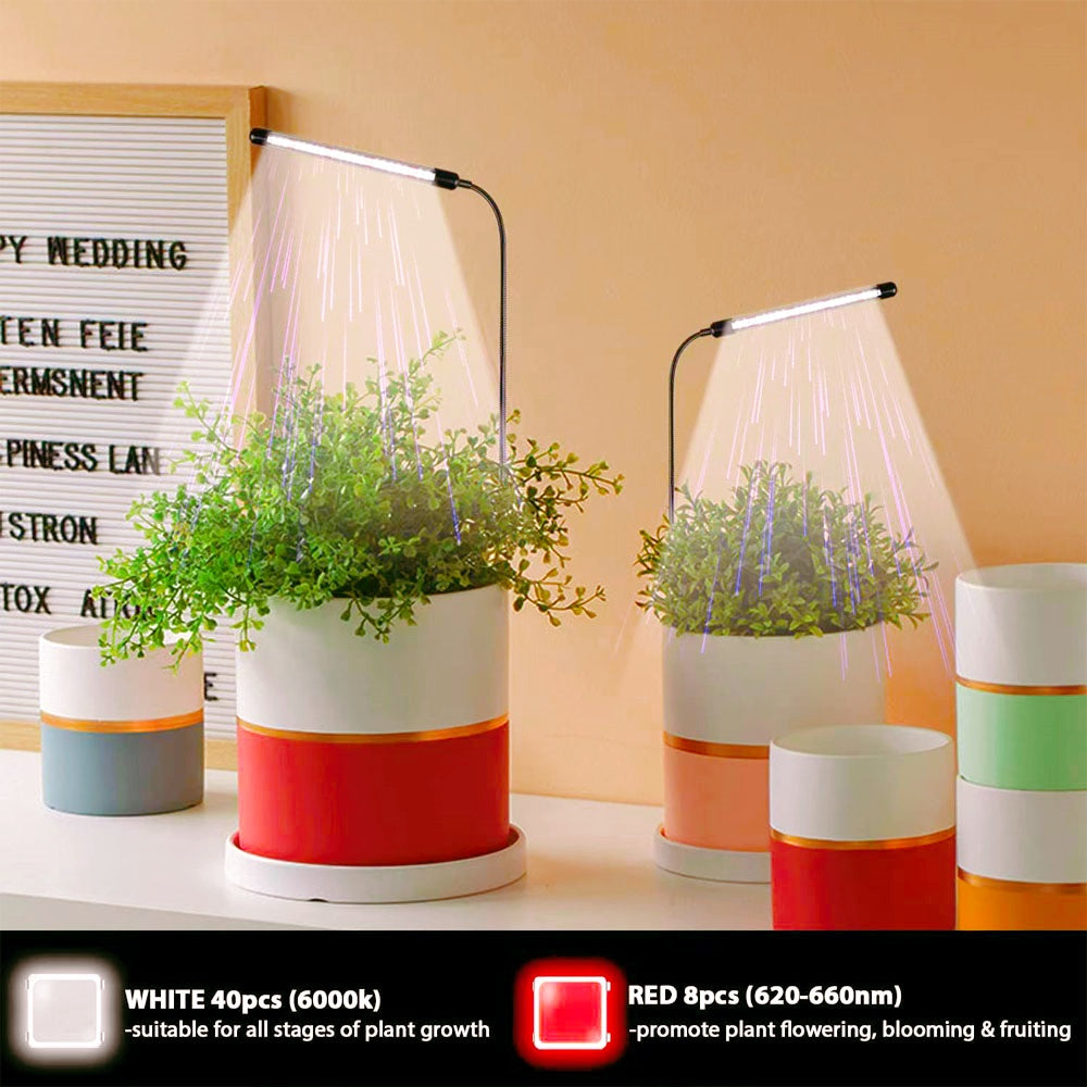 Full-Spectrum Grow Bulb Plant Lamp with USB Timer for Indoor Greening