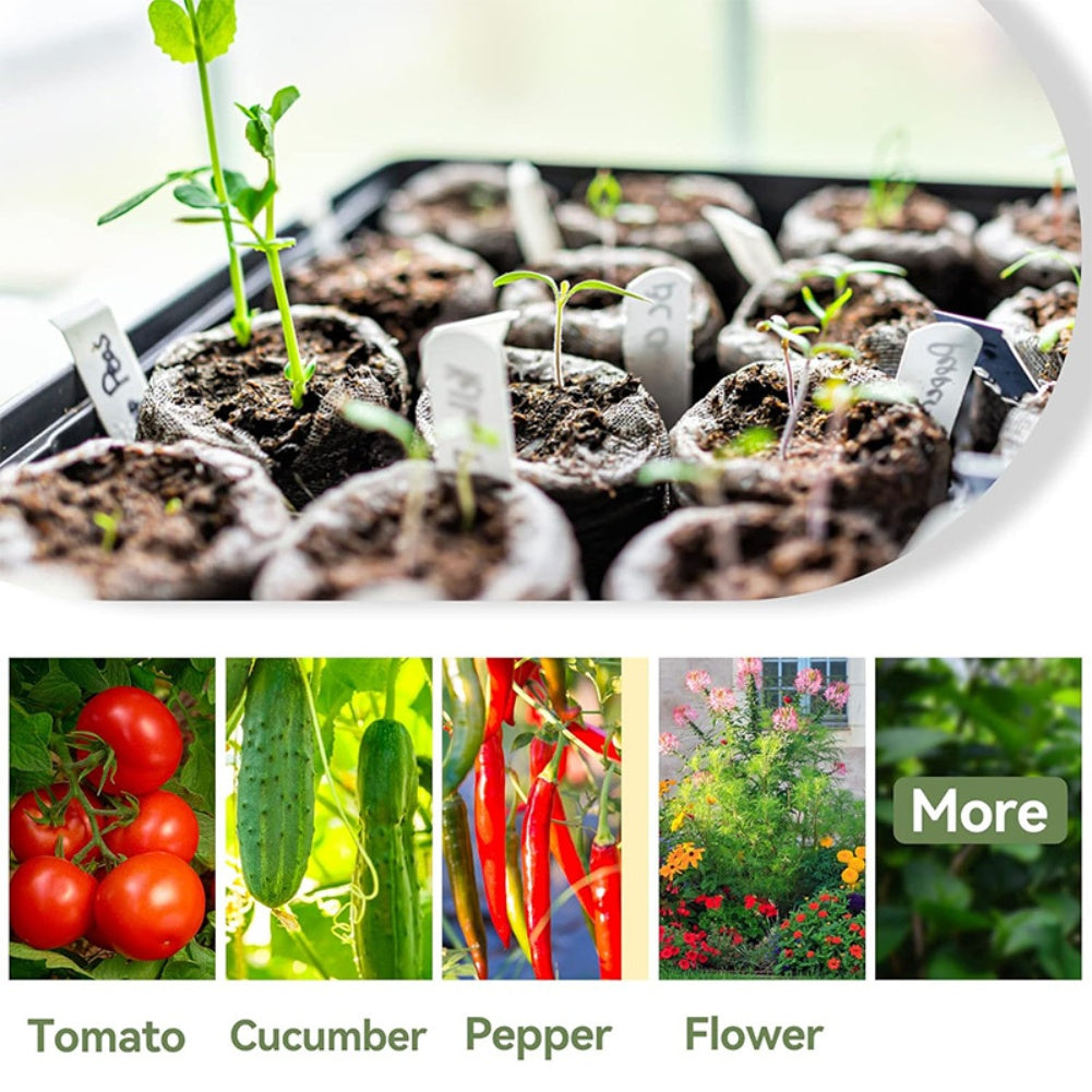 Germination Sprout Soil Pellets - 50/100pcs Non-Woven Compressed Mud