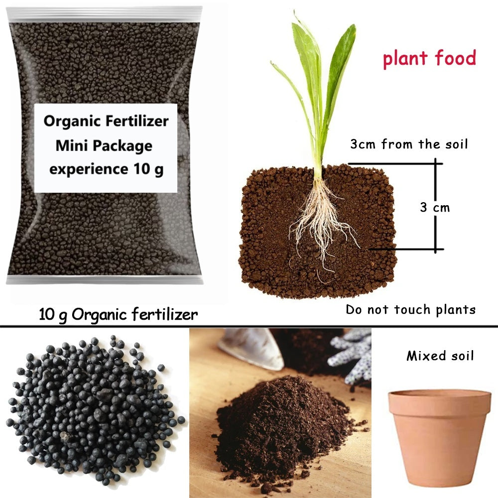 Organic Fertilizer 10G: Safe, Eco-Friendly Plant Food