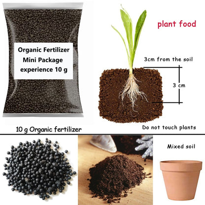 Organic Fertilizer 10G: Safe, Eco-Friendly Plant Food