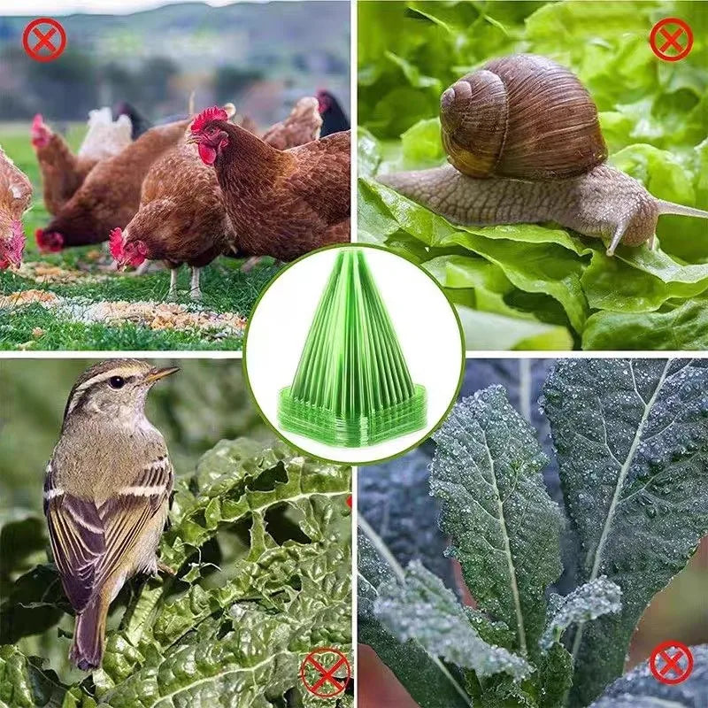 Plant/Crop Cover Bell: Insect & Frost Protection