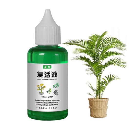 Plant Fertilizer - Flower & Veggie Liquid Boost Growth & Revive Plants 