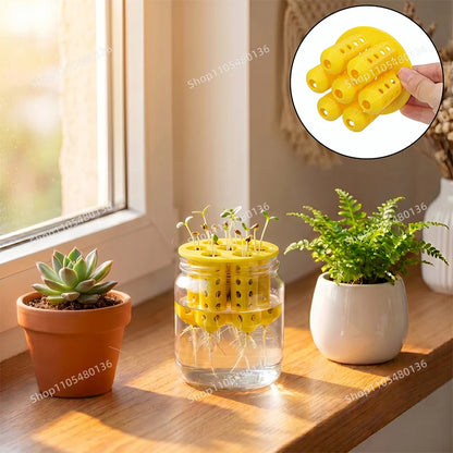 Hydroponic Plant Growing Lid Water Culture Planter Cup Holder Seed Germination Tray For Glass Cup Seedling Cultivation
