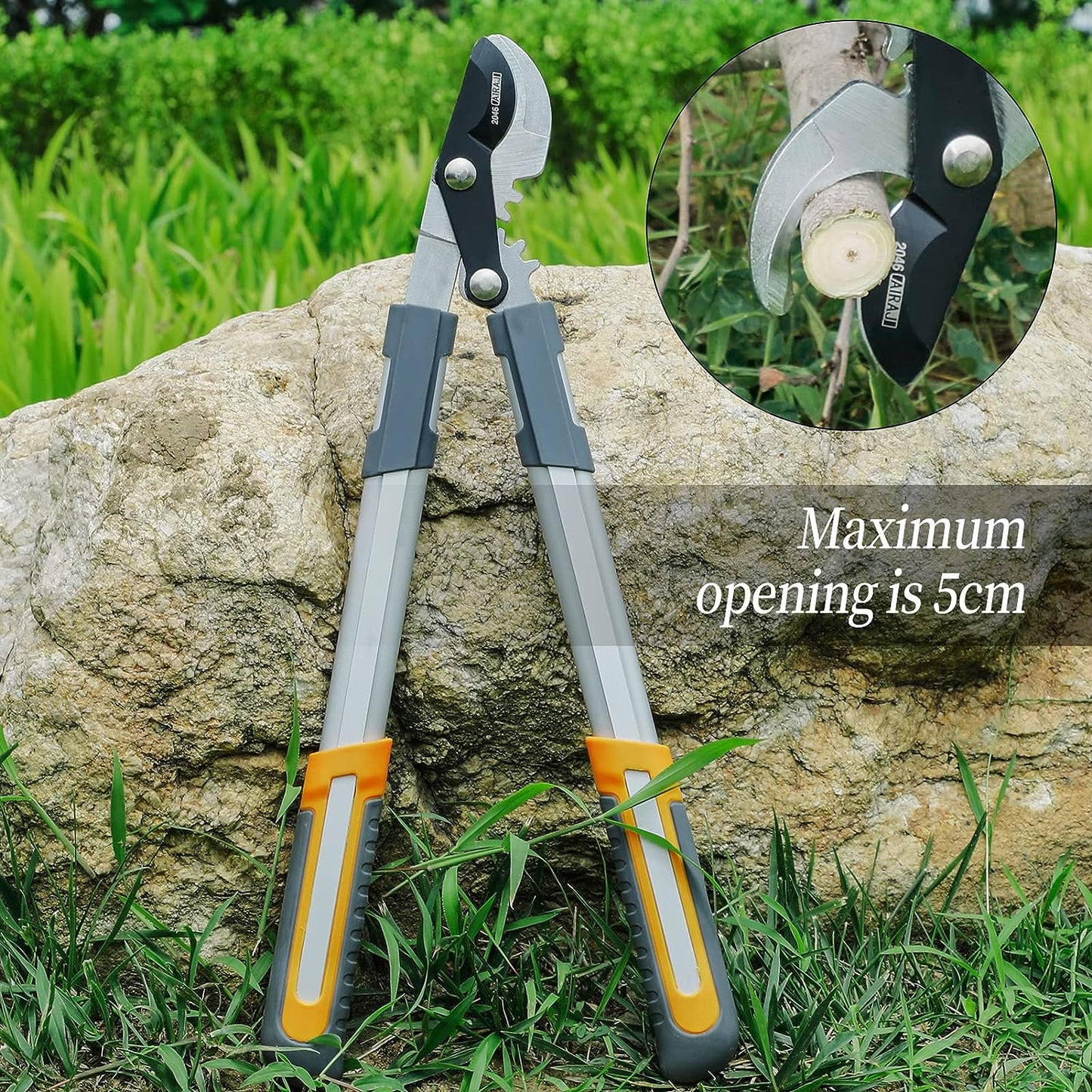 Pruning Shears: Pro Garden & Bonsai Pruner Tool