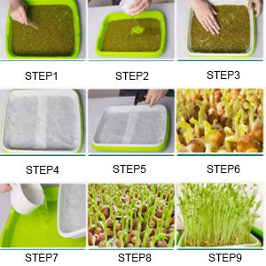 Seed Tray: Microgreens Sprouter Tray - Hydroponic Garden Starter Kit