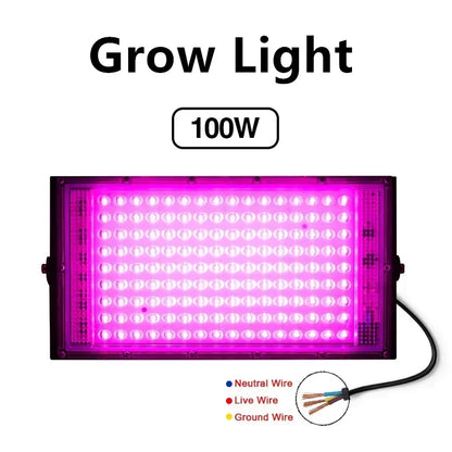 Full Spectrum LED Grow Light Phyto Lamp AC 220V 50W 100W with EU Plug for Greenhouse Hydroponic Plant Growth Floodlight Lighting