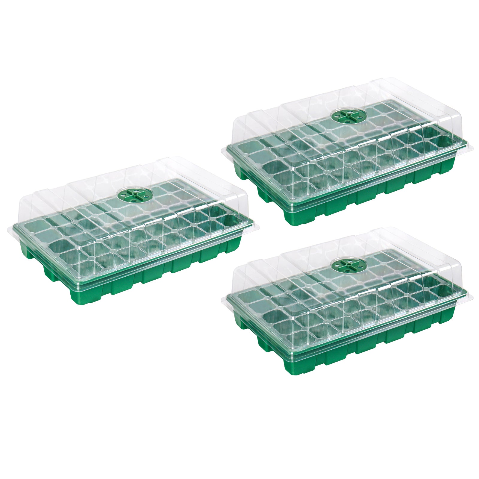 Seed Tray 3pcs, 40-Cell Propagator with Cover for Greenhouse